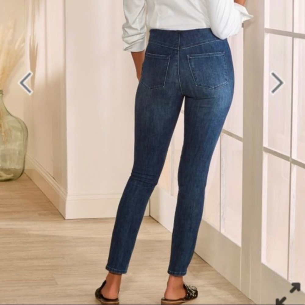 SOFT SURROUNDINGS PULL ON DENIM SKINNY JEANS